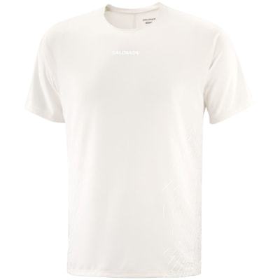 Salomon Sense Aero Graphic Herren T-Shirt