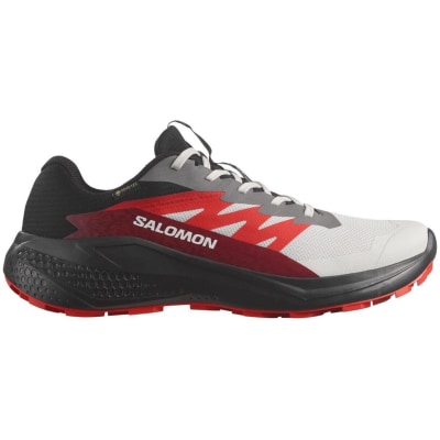 Salomon Alphaglide GTX Herren Trailrunningschuhe