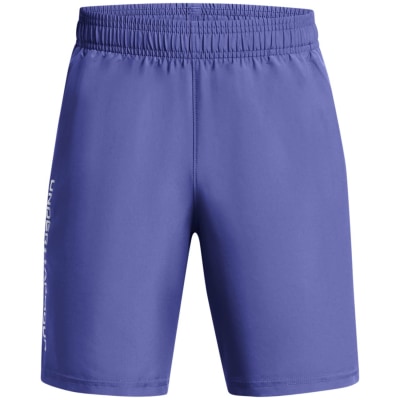 Under Armour Woven Wdmk Jungen Shorts