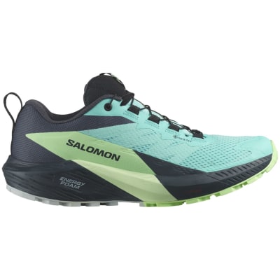 Salomon Sense Ride 5 Gore-Tex Damen Trailrunningschuhe
