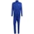 team royal blue