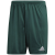 collegiate green