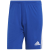team royal blue / white