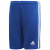 Team Royal Blue / White
