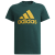 collegiate green/semi solar gold