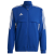 team royal blue