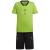 semi solar green