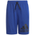 team royal blue