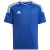 team royal blue