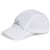 White / Reflective Silver