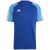 team royal blue / pulse blue