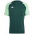 Team Dark Green / beam green