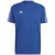 team royal blue / white