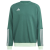Team Dark Green