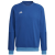 Team Royal Blue