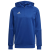 team royal blue