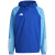 team royal blue / pulse blue