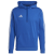 team royal blue