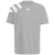 Team Light Grey / White