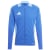 team royal blue