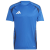 Team Royal Blue