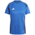 Team Royal Blue