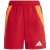 Team Power RED 2 / APP Solar RED