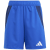 Team Royal Blue