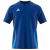 Team Royal Blue