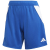 Team Royal Blue / White