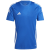 Team Royal Blue / White