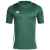 Team Dark Green / White
