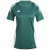 Team Dark Green / White