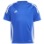 team royal blue / white