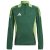 Team Dark Green