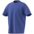 semi cobalt blue