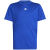 team royal blue/white