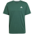 collegiate green/white