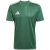 team dark green/white