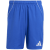 team royal blue