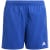 team royal blue/white