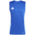 team royal blue/blue burst