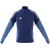 team royal blue/blue burst
