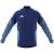 team royal blue/blue burst