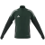 team dark green/shadow green