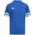 team royal blue/white