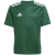 team dark green/white