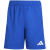 team royal blue