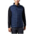 Collegiate Navy