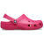 Dragon Fruit